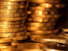 政府采購(gòu)招標(biāo)代理